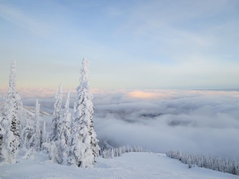 a backcountry forest blanketed thickly in snow viewed through an icy sunset